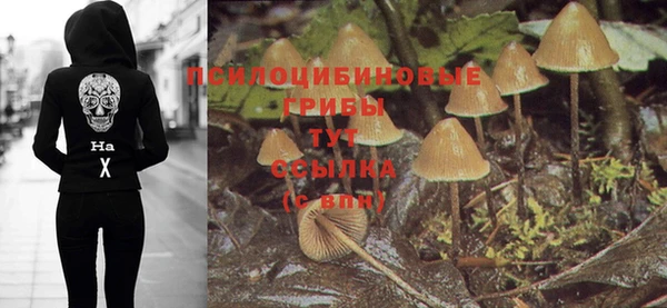 марки nbome Аркадак